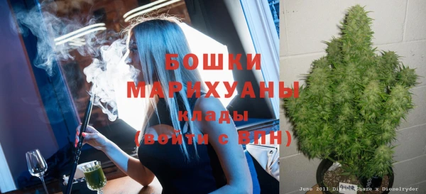 эйфоретик Няндома