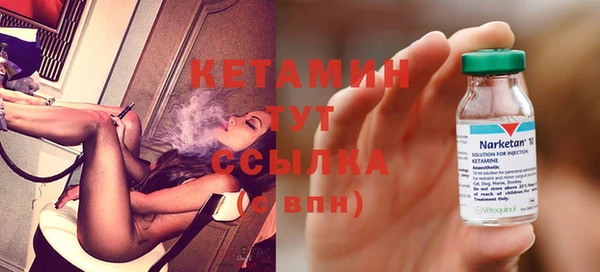 сатива Арсеньев