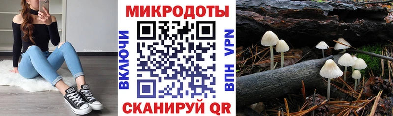 Псилоцибиновые грибы ЛСД  где купить наркотик  Сорочинск 